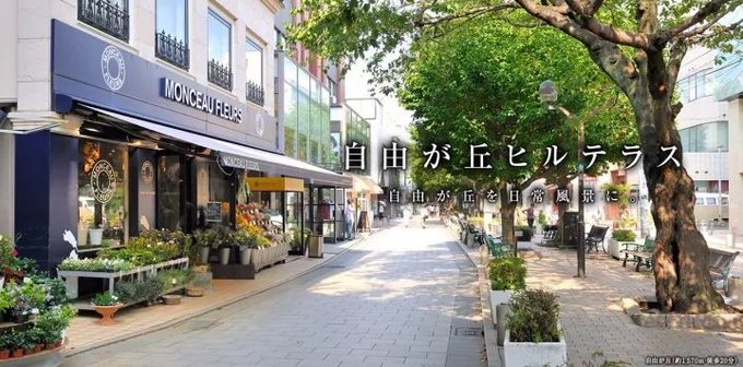 日本彩妆购物必买清单图,日本彩妆购物必买清单