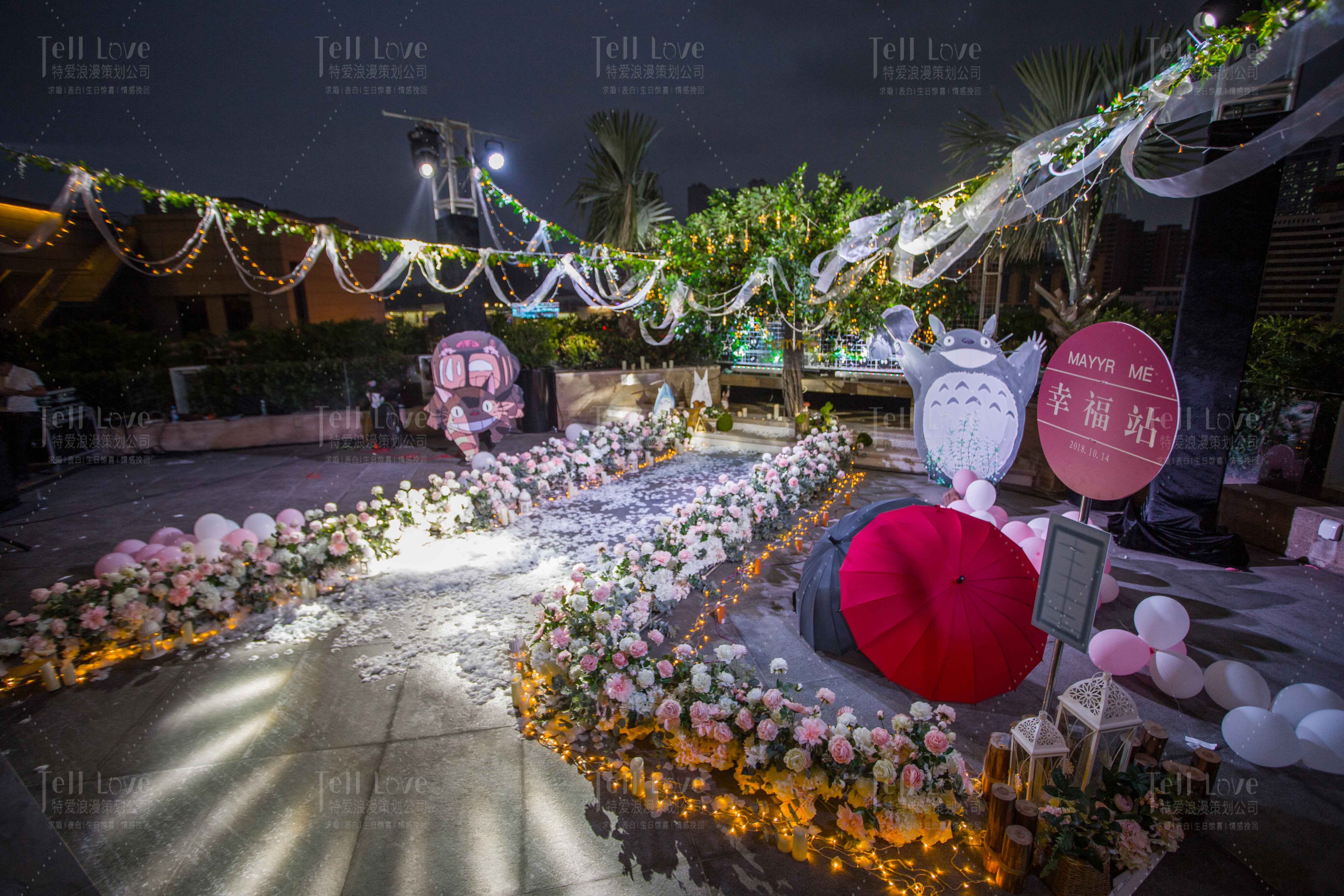 惊喜求婚婚礼策划方案大全,浪漫求婚告白创意求婚方案大揭秘