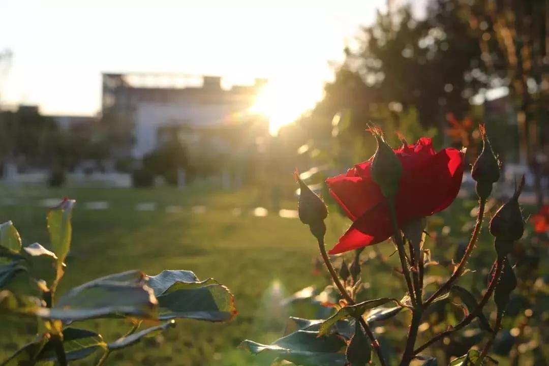 天津医科大学七所直属医院,天津医科大学独立学院是几本