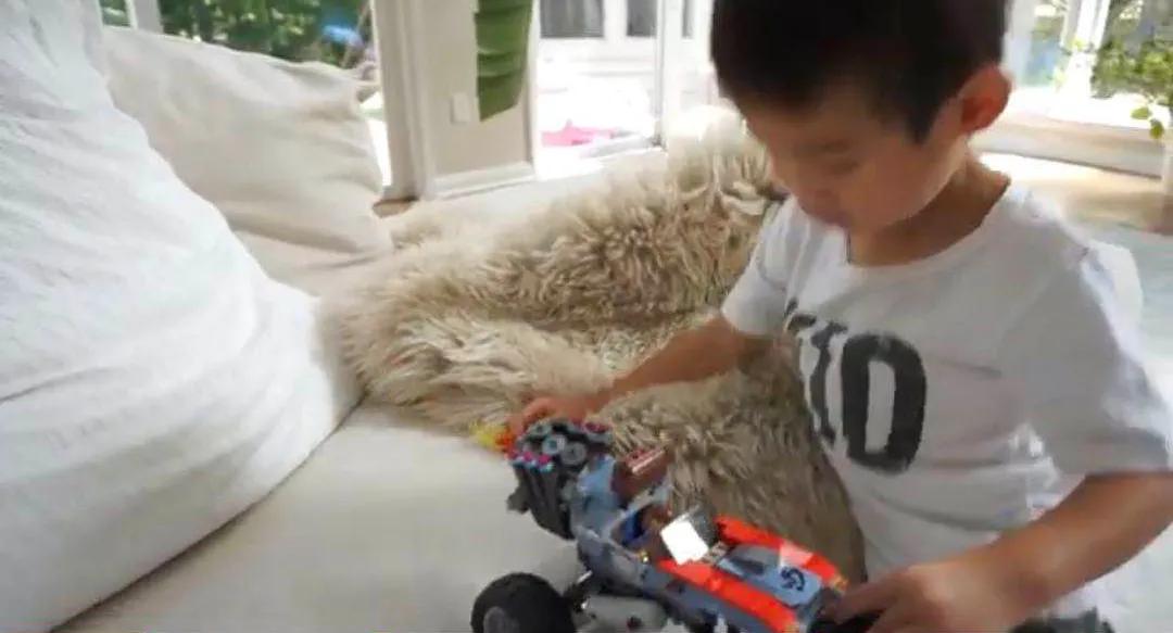 领养孩子后可以弃养吗,领养的孩子过了18岁能弃养吗