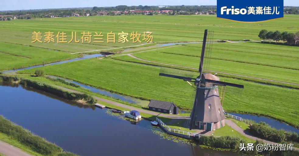 美素佳儿羊奶粉测评,美素佳儿奶粉测评