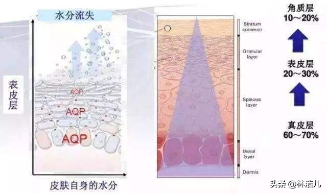 36岁的张钧甯“冻龄”人设不保?眼纹遮不住,周迅也有这个问题?