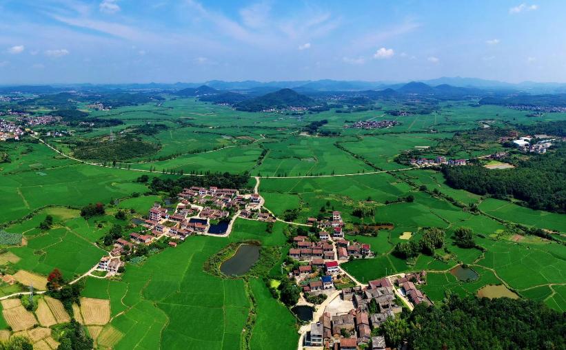 耕地抛荒原因探讨,为什么农民土地荒了