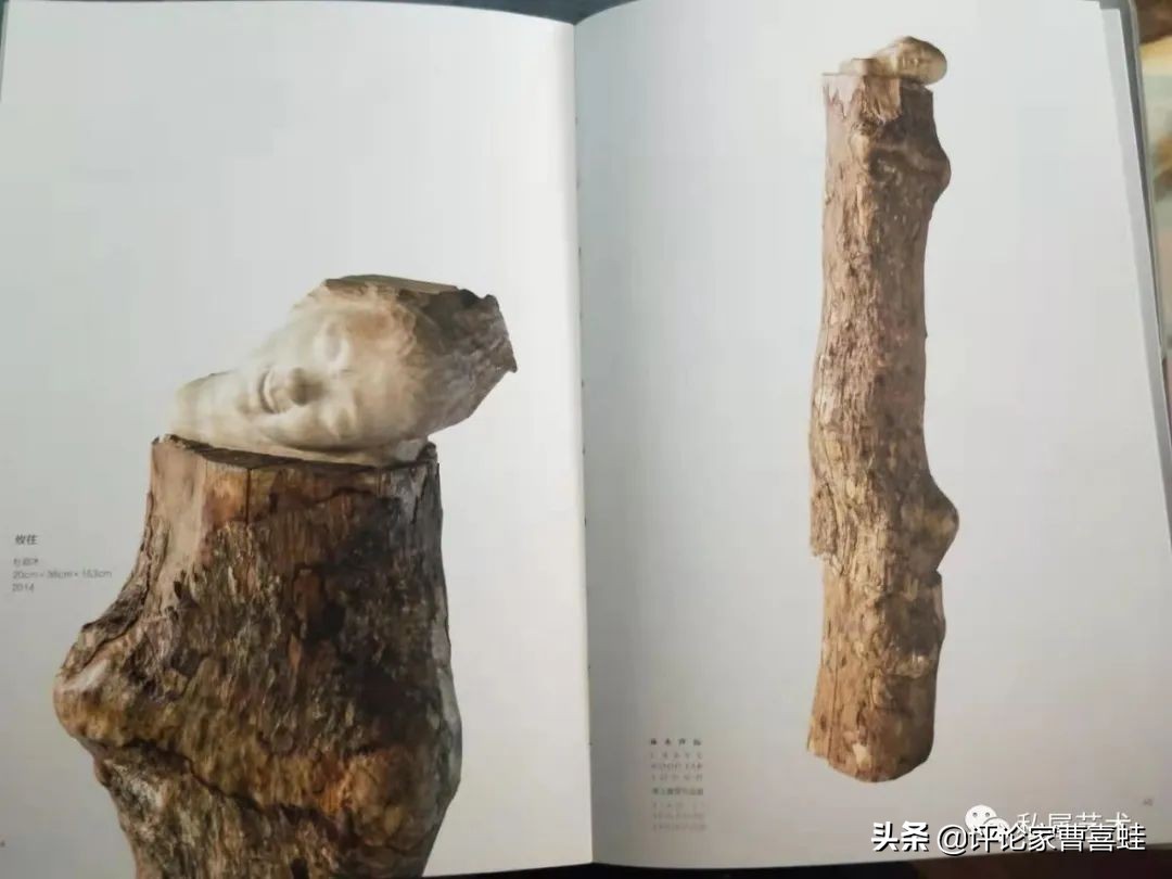 曹喜蛙,曹喜蛙代表作品