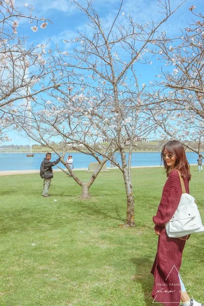 澳洲堪培拉景色,澳洲堪培拉动物园