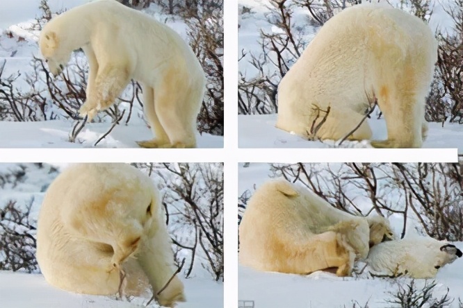 每天做五分钟倒立有什么好处,仰面倒立的好处及正确的倒立方法