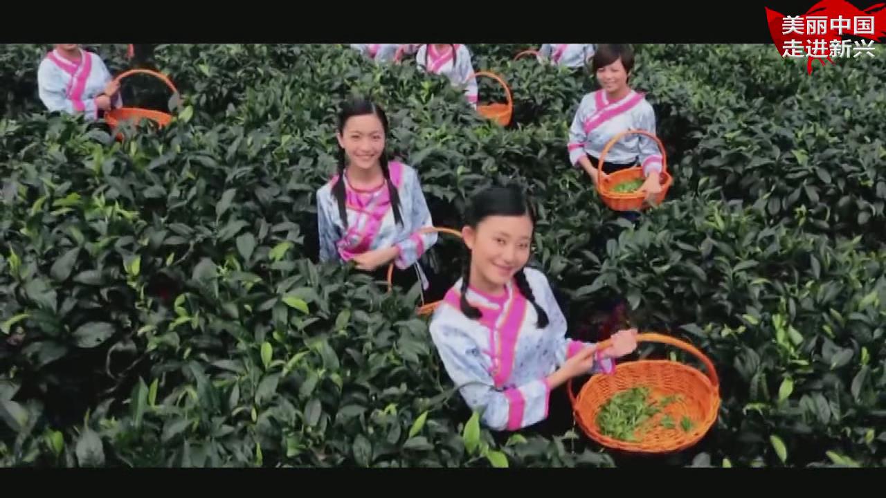 广东省云浮新兴县龙山温泉,新兴县东成镇清山绿水温泉