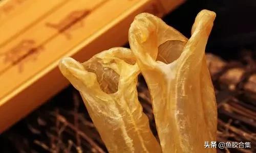 花胶的种类和区别,花胶一共有几种类型的品种