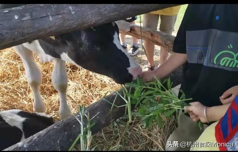 私藏十大好物推荐,杭州周边三天游攻略