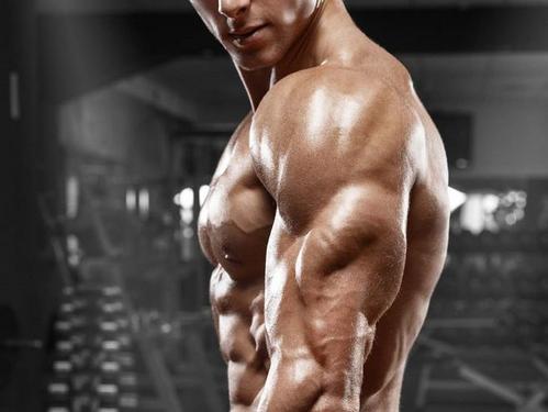 健身的人为什么穷,为什么说健身的人活不长