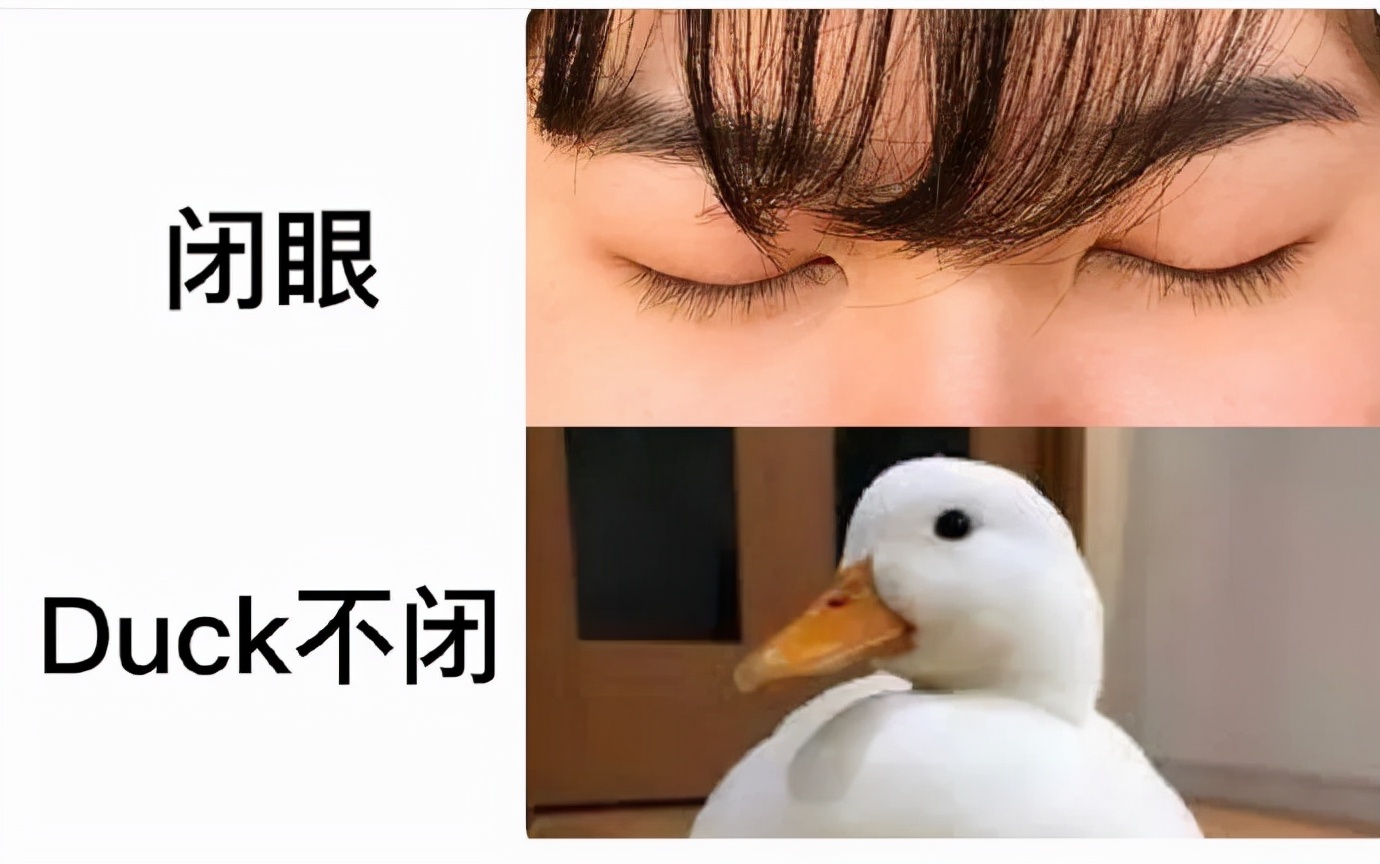 今日段子｜薇娅和李佳琦一天卖了多少钱？