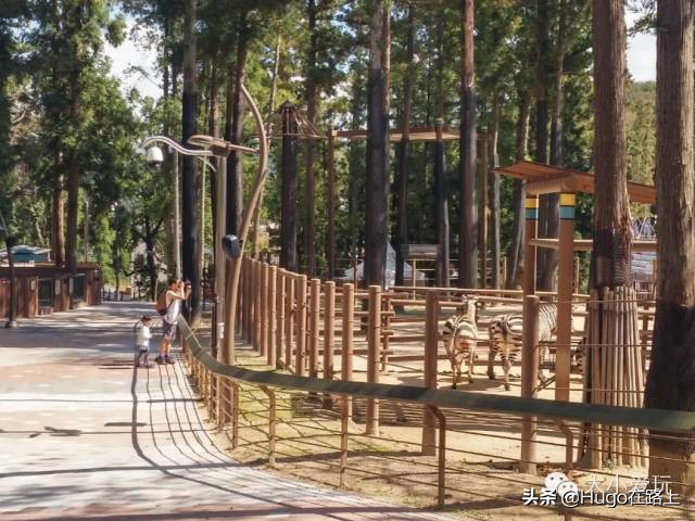 济州岛旅游攻略亲子游,韩国济州岛首尔亲子游