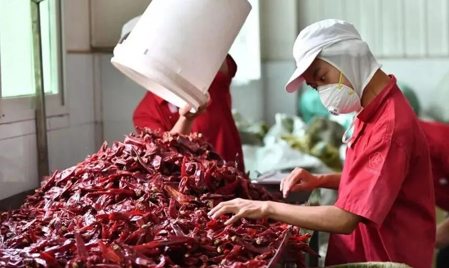 韩国泡菜韩国人过不去的坎,韩国人的泡菜尊严