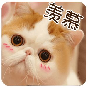 深外初中部小升初试题及答案,深外初中部小升初