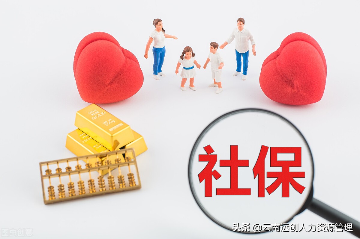 自己交保险可以不交生育金吗,没上班生育险可以自己续缴吗