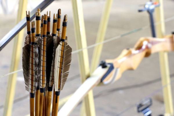 荚蒾博德兰,博德兰荚蒾对光照的需求