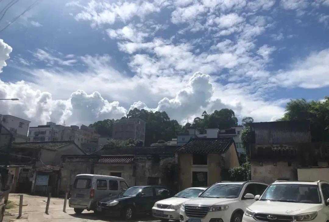 坂田重大规划33号线,坂田岗头地铁规划