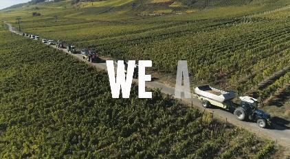 雷司令1987,雷司令588岁生日酒会