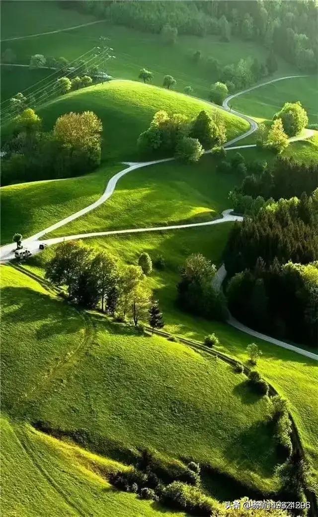 春天的绿代表什么,春天的绿是大自然的灵感吗