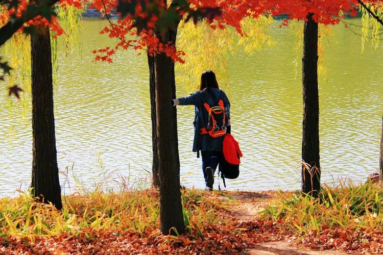 单反快速入门索尼,单反自动挡是哪个