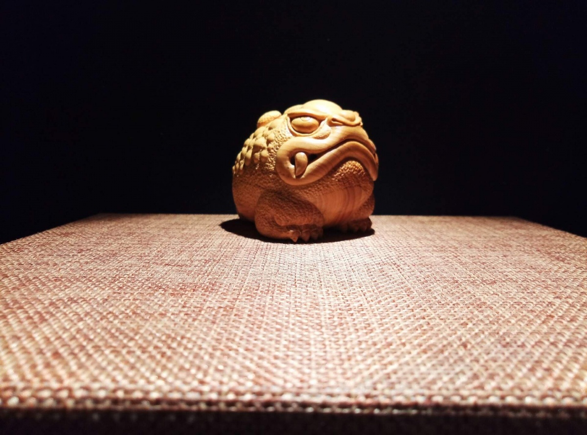 金蟾和金蟾区别,金蟾和蟾蜍是一种动物吗