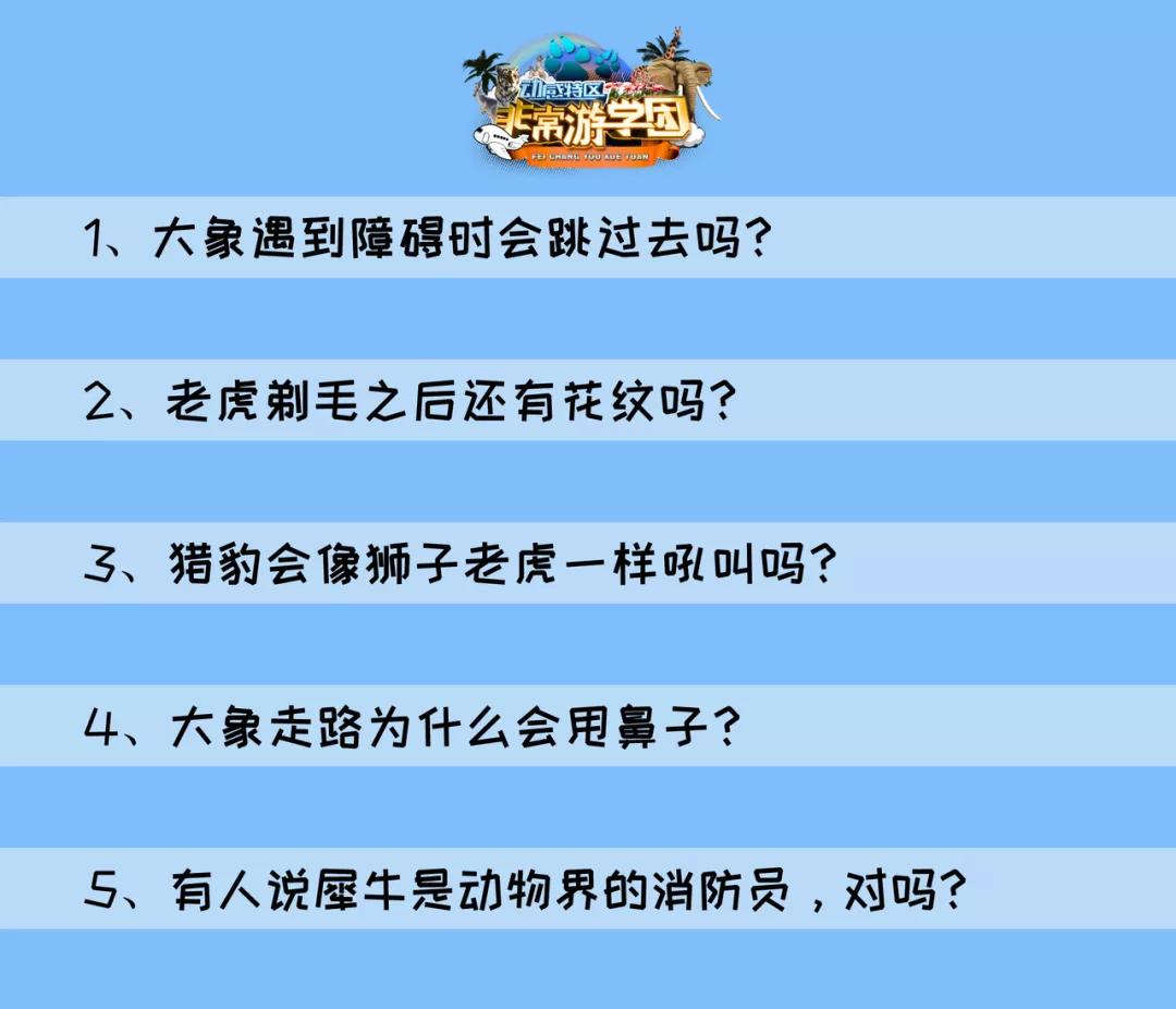 大熊猫百科知识详细介绍,大熊猫前脚有几只手指