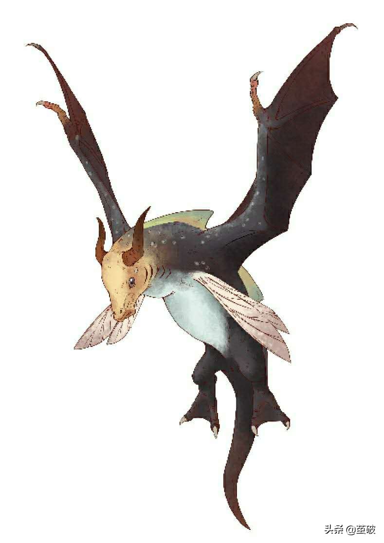 长得像牦牛一样的鱼，不仅冬眠，还能治疗毒疮，也就只有这里存在