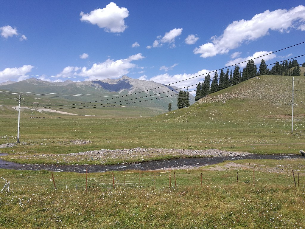 与*疆新**旅店老板共餐，直夸我土豆丝炒的好吃，后请我吃羊肉大餐