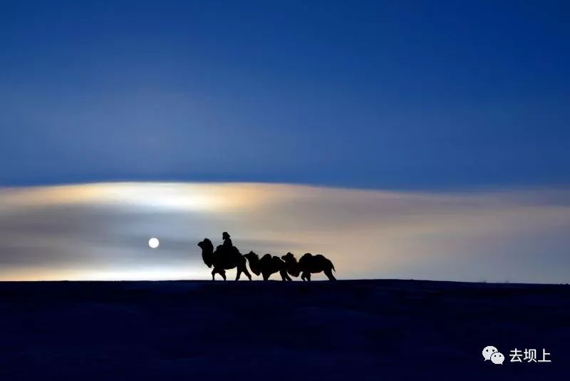 坝上摄影攻略,坝上夏季摄影