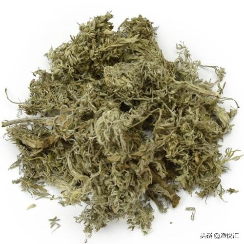 茵陈钓鱼中药搭配,茵陈诱鱼实测