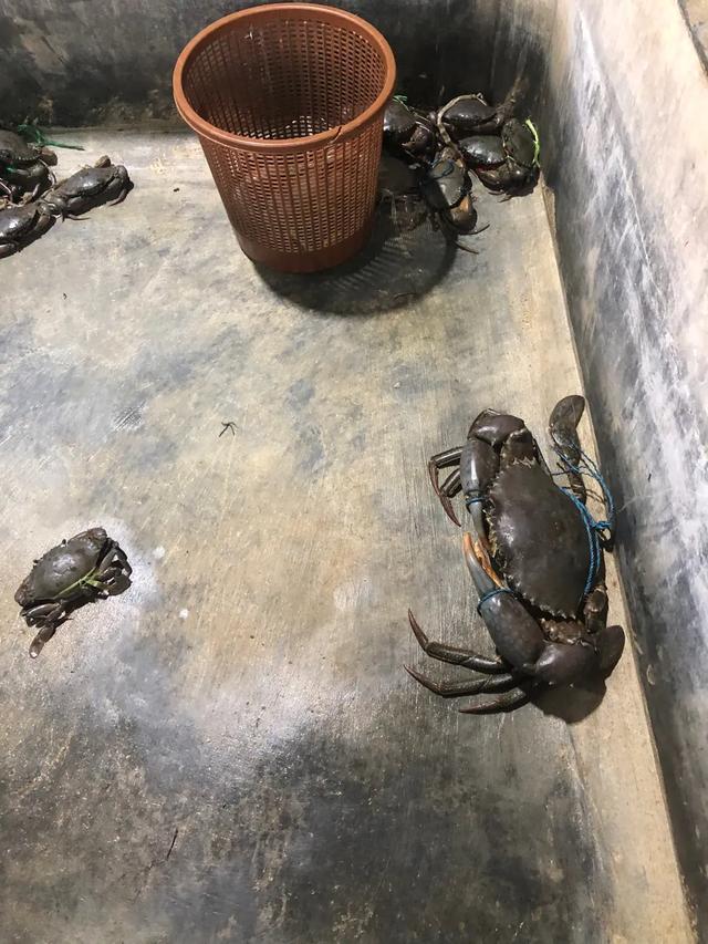 新宇带你看不同中篇—缅南美丽的风景和那些奇葩的旅游趣事