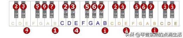 电子琴母亲0基础指法,学习电子琴音阶指法