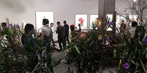 植物画家曾孝濂,画家曾孝濂作品欣赏