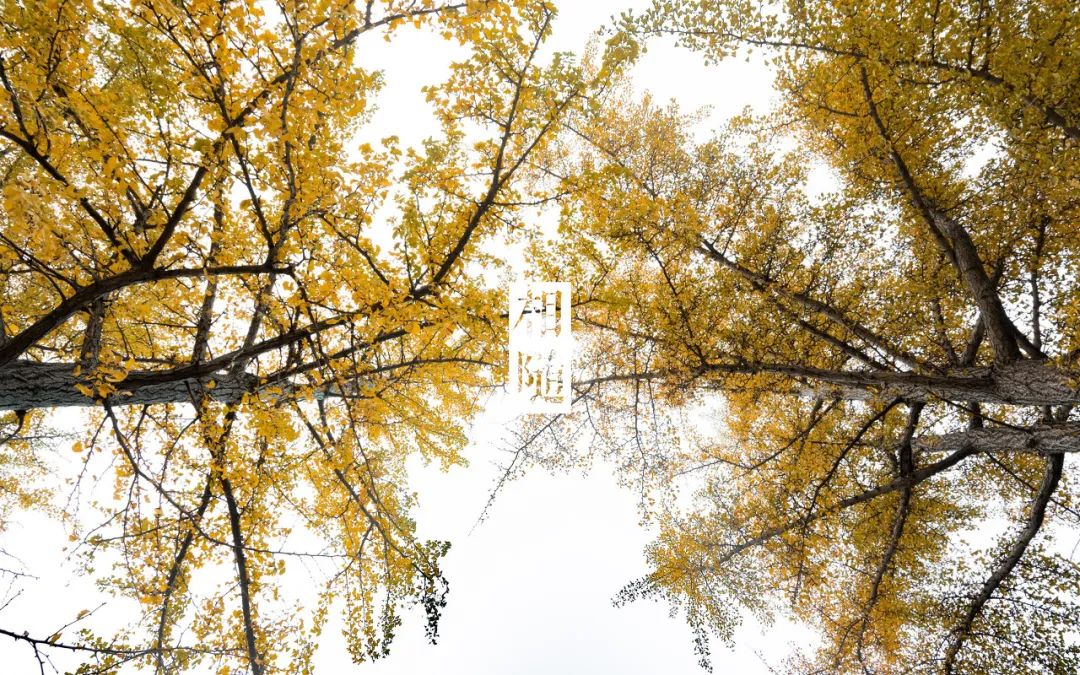 想去大连了,还有人想去大连吗