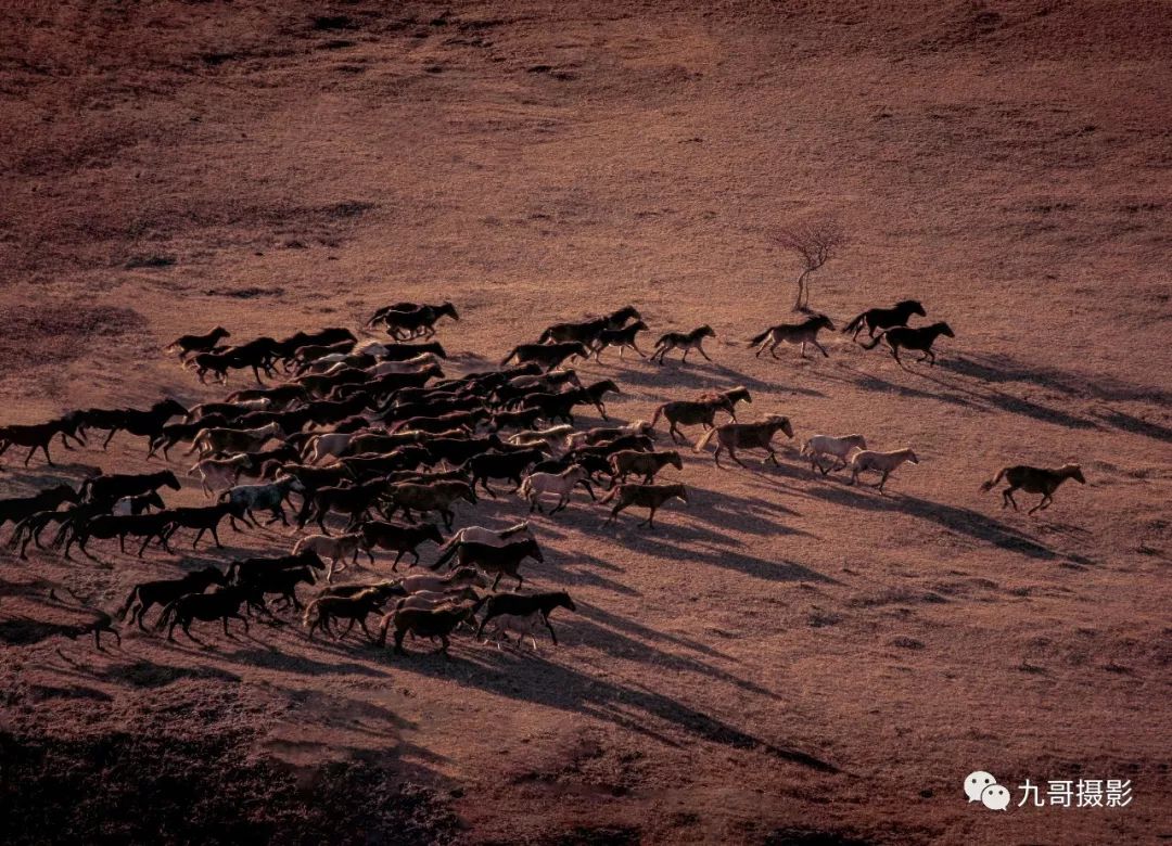 大美坝上草原全景,大美坝上风光系列之一