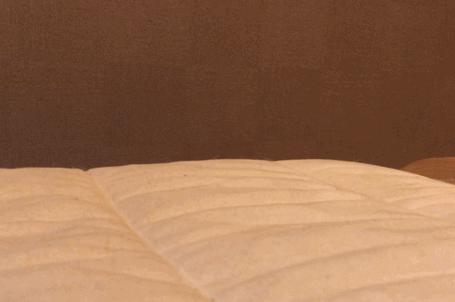 “*咻嘿**”被孩子撞见，怎么办？