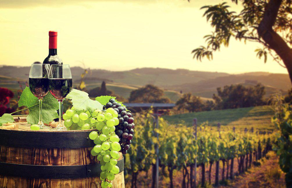 真全粮酿酒技术靠谱吗,真全粮酿酒怎么样