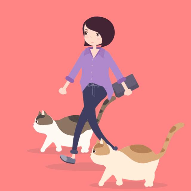 乌鲁木齐又能玩又能逛的地方,乌鲁木齐市有哪些新建好的公园