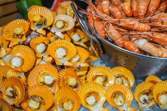 此心安处是吾乡21预告,此心安处是吾乡全季