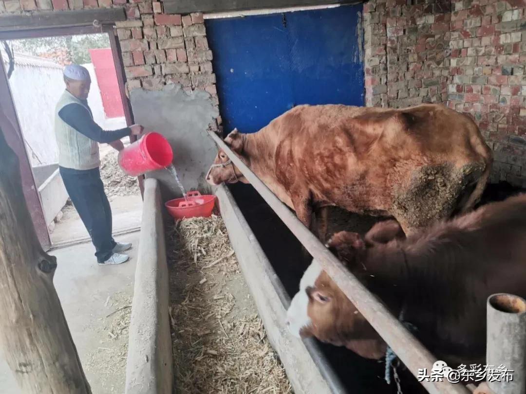 韬畫蹇楀潥涓嶅繕鏈府鎵朵埂浜插悓鑷村瘜,韬畫蹇楀潥涓嶄綆澶磋劚璐嚧瀵屽媷浜夊厛