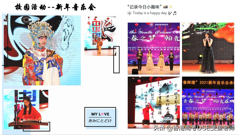 鲸帆dse国际,鲸帆dse国际学校创作人