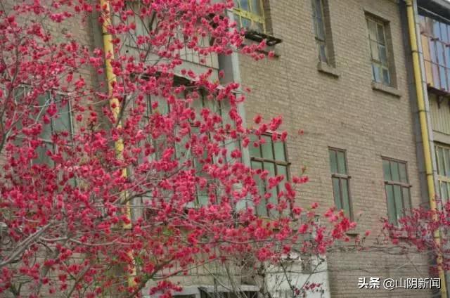 人间四月春暖花开散文,最美人间四月天优美散文