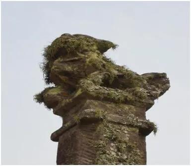 茶马古道全集版,茶马古道下集