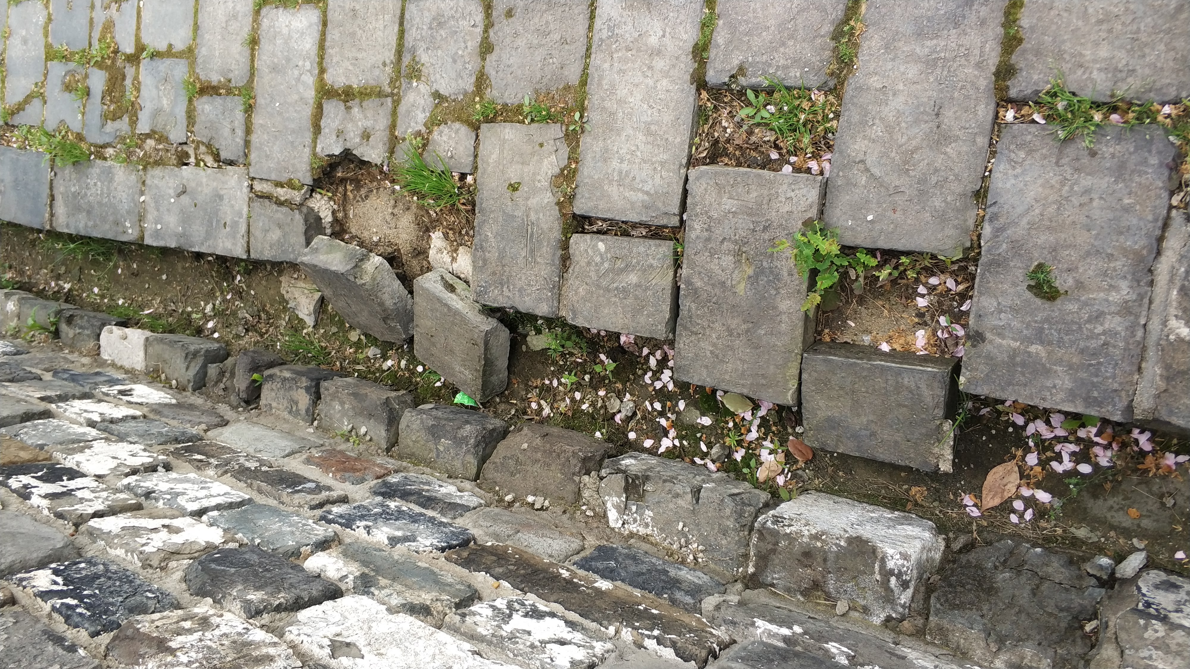 登金陵凤凰台李白其中有名的句子,登金陵凤凰台含着李白独特的句子