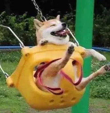 儿童节为什么是childrensday,儿童节为什么不是childrenday