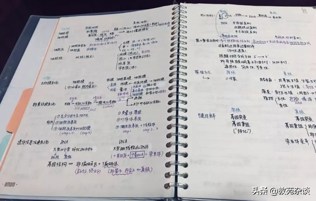 高考倒计时100天学霸完整版,高考倒计时高三学生从容应对挑战