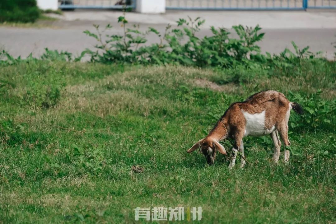 何时去菲律宾旅游最合适,菲律宾旅游攻略七日游自由行