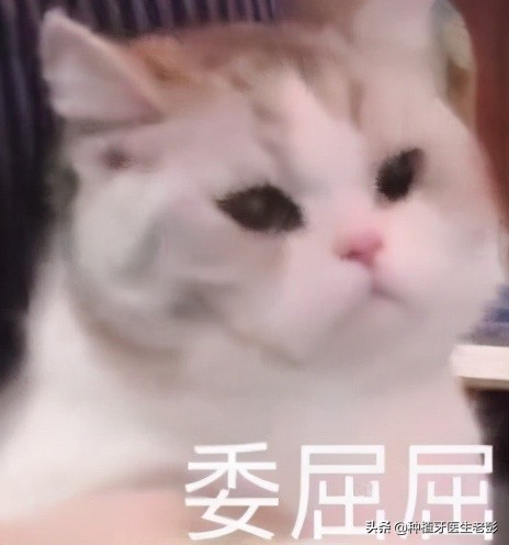 智齿发炎真是疼啊,为什么智齿发炎了会反反复复