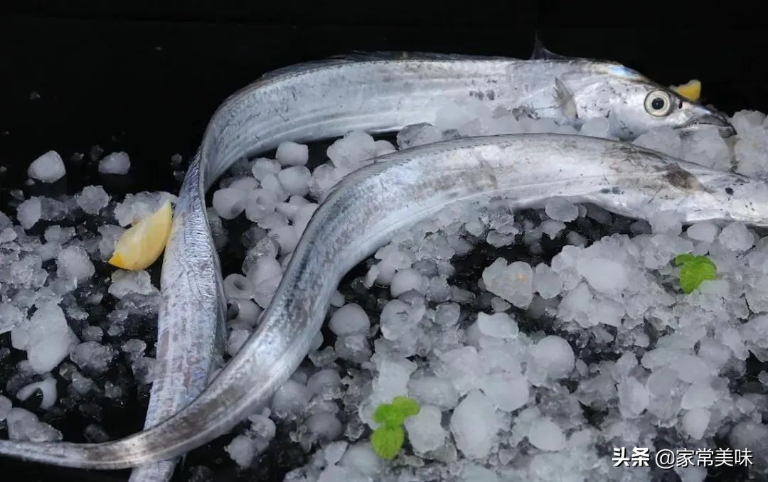 买带鱼小窍门,买带鱼挑选带鱼诀窍