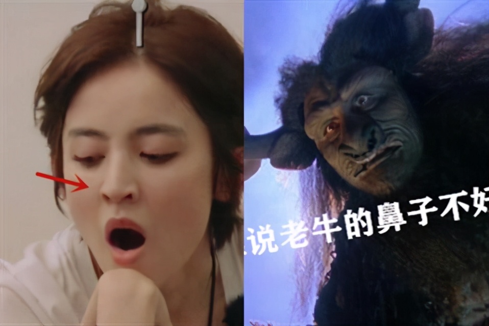 隆鼻对皮肤有什么影响,隆鼻对颜值有多大影响